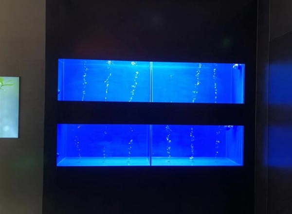 海鲜冷水机